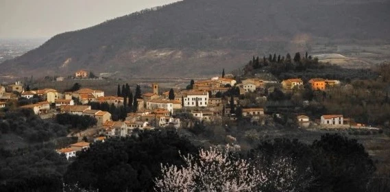 Foto dei colli euganei