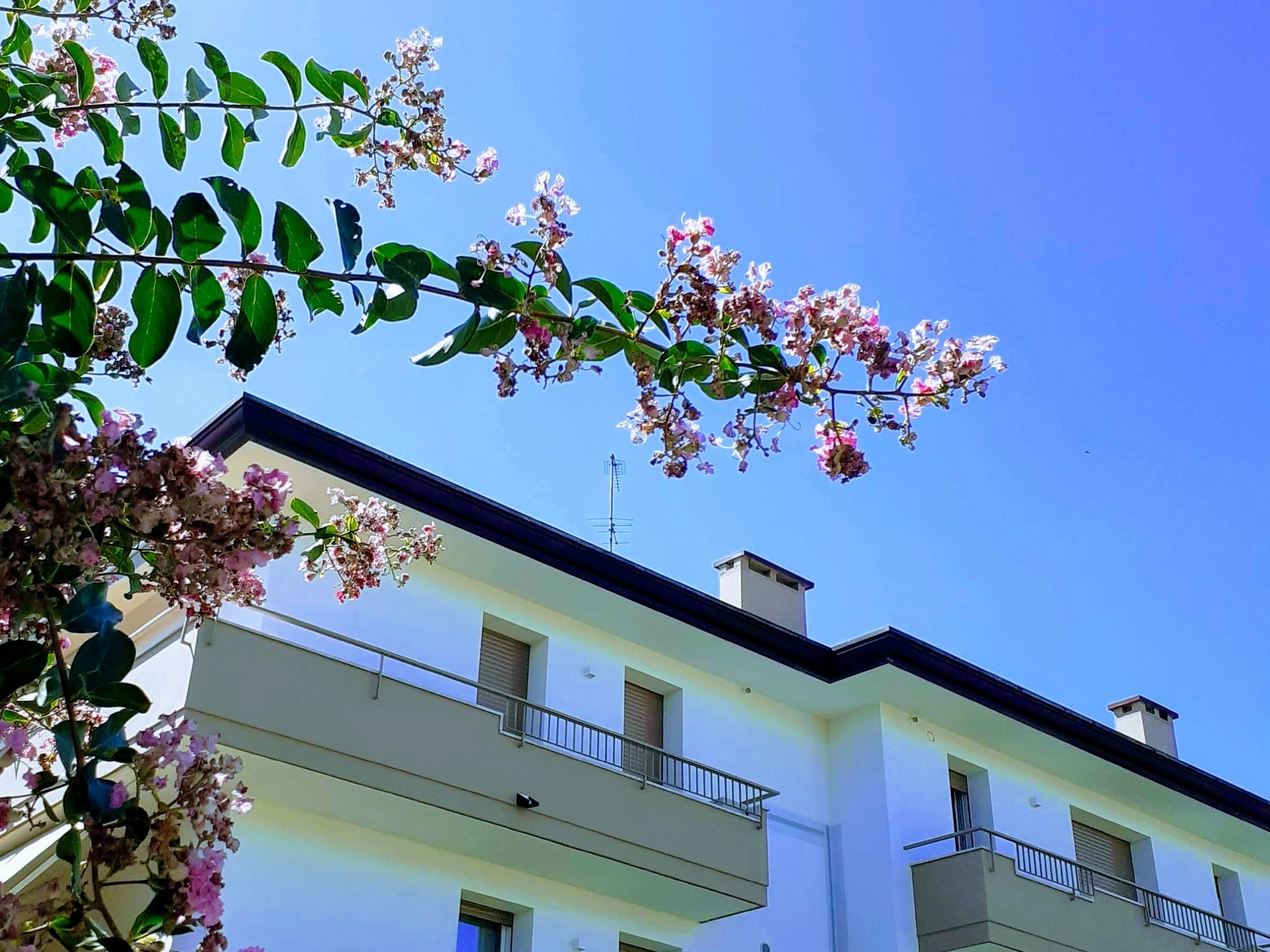 esterni-fuori-outside-ext-giorno